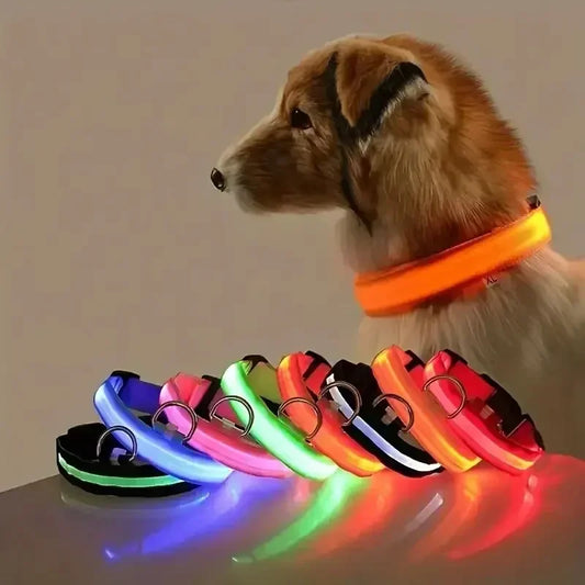 Light Up LED Pet Dog Collar Safety Night Walking Flashing Glow In The