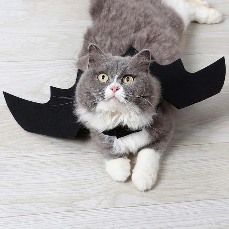 Halloween Cute Pet Clothes Black Bat Wings Harness Costume Cosplay Cat
