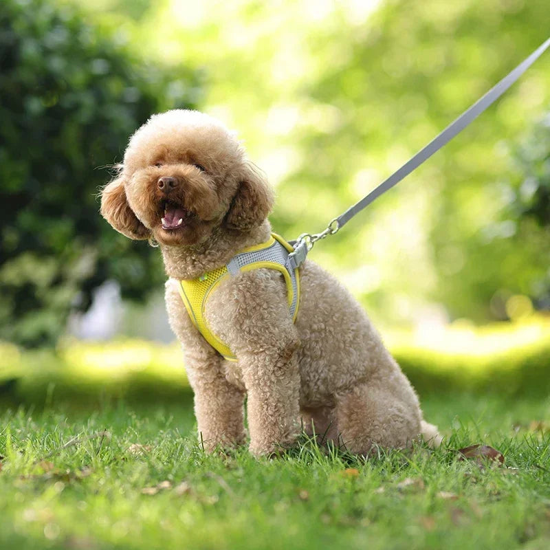 Puppy Harness Set Dog Accessories Adjustable Pet Vest Dogs French