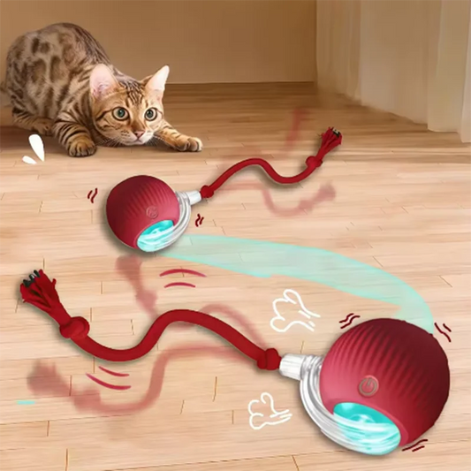Intelligent interactive cat ball long-lasting and durable easy to