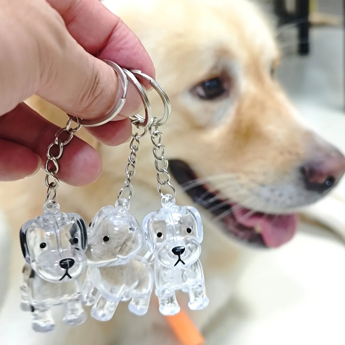  Transparent Dog Hair Storage Box Adorable Puppy Hair Memorial