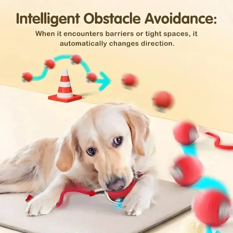 Cat Interactive Ball Toy, Automatic Rolling Ball with Tail,