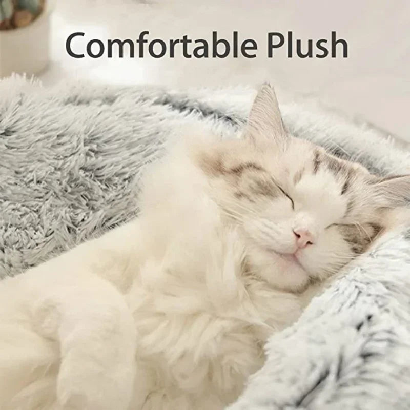 Autumn and Winter soft plush pet bed and pet bed Winter warm and cold