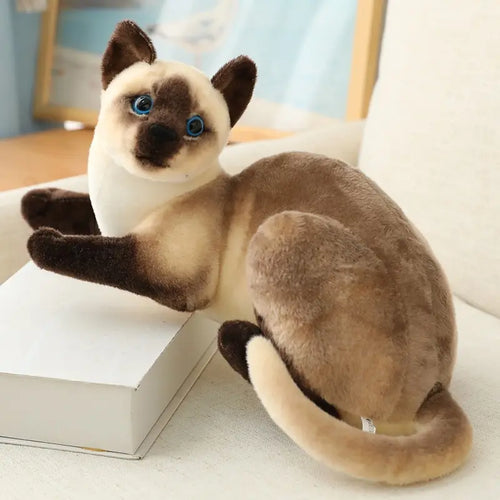 Stuffed Siame Cats Plush Toy 20/25cm Simulation American Shorthair