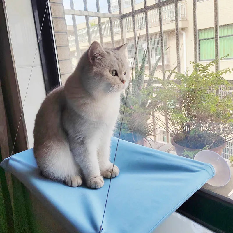 New pet cat hammock hanging cat bed bearing 20 kg comfortable sunny