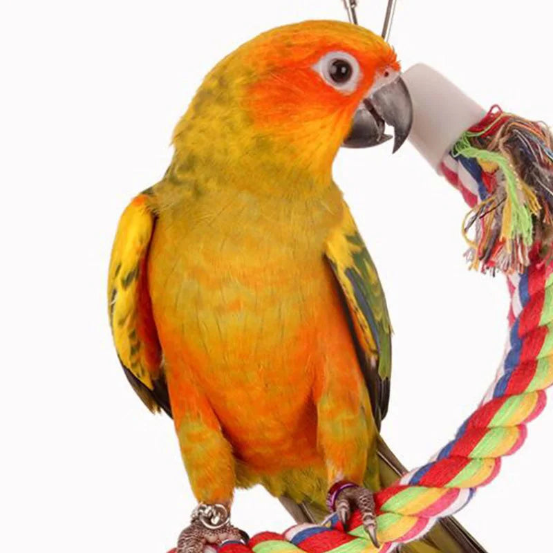 Parrot Toy Wicker Rope Hanging Braided Budgie Chew Bird Cage Cockatiel