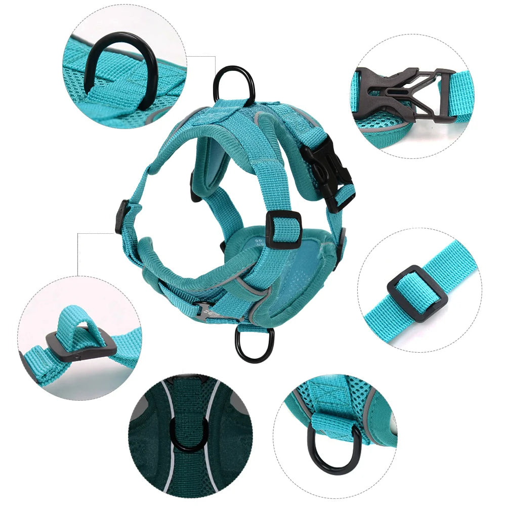Breathable Cat Harness Leash for Small Medium Dogs Cats  Adjustable