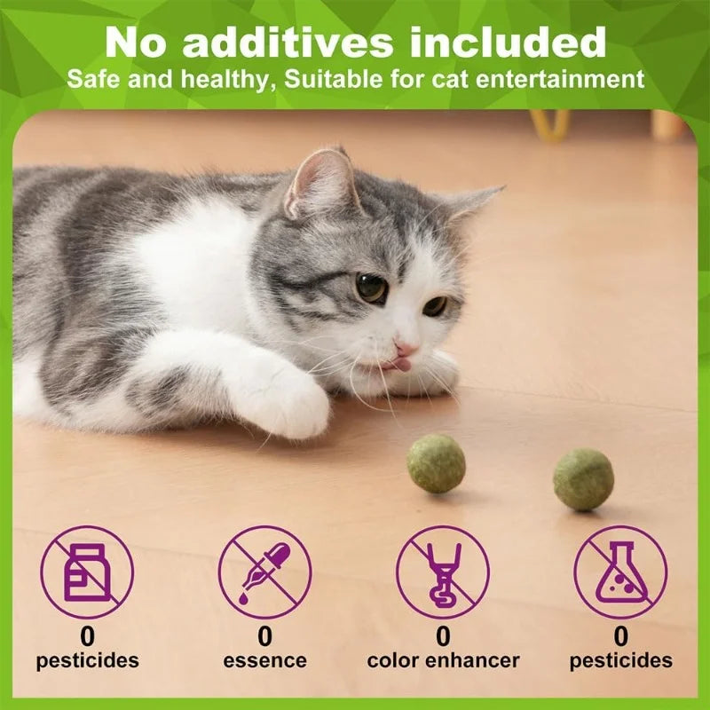 5/10/20Pcs Natural Catnip Balls Kitten Cat Nip Ball Licker Toy for