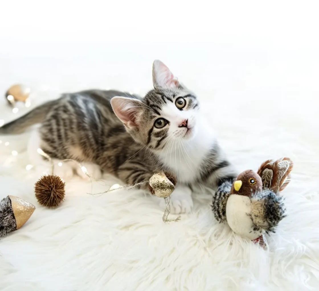 Interactive Cat Toys Electric Squeaky Simulation Bird Plush Cats Pets