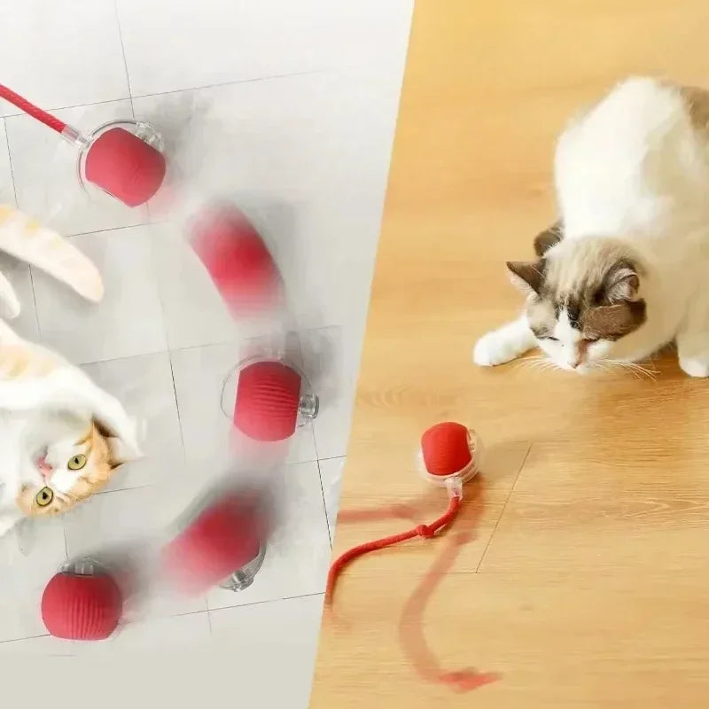 Cat Interactive Ball Toy, Automatic Rolling Ball with Tail,