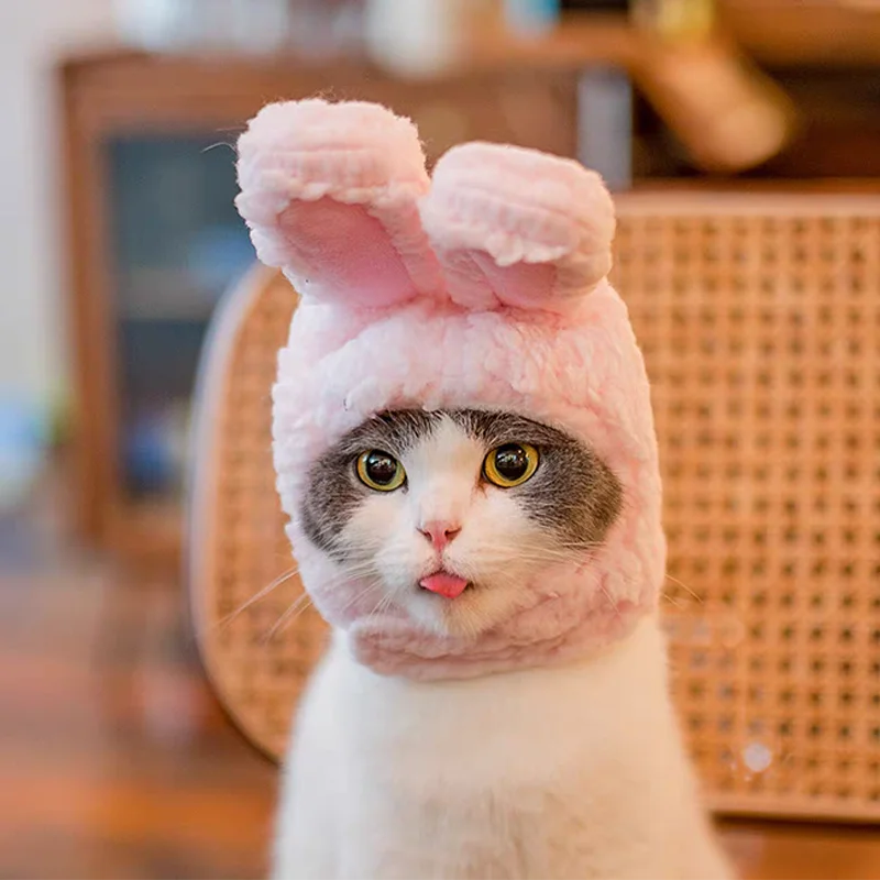 Cute Bear Rabbit Hooded Pet Cat Dog Accessories Cosplay Cat Hat Winter