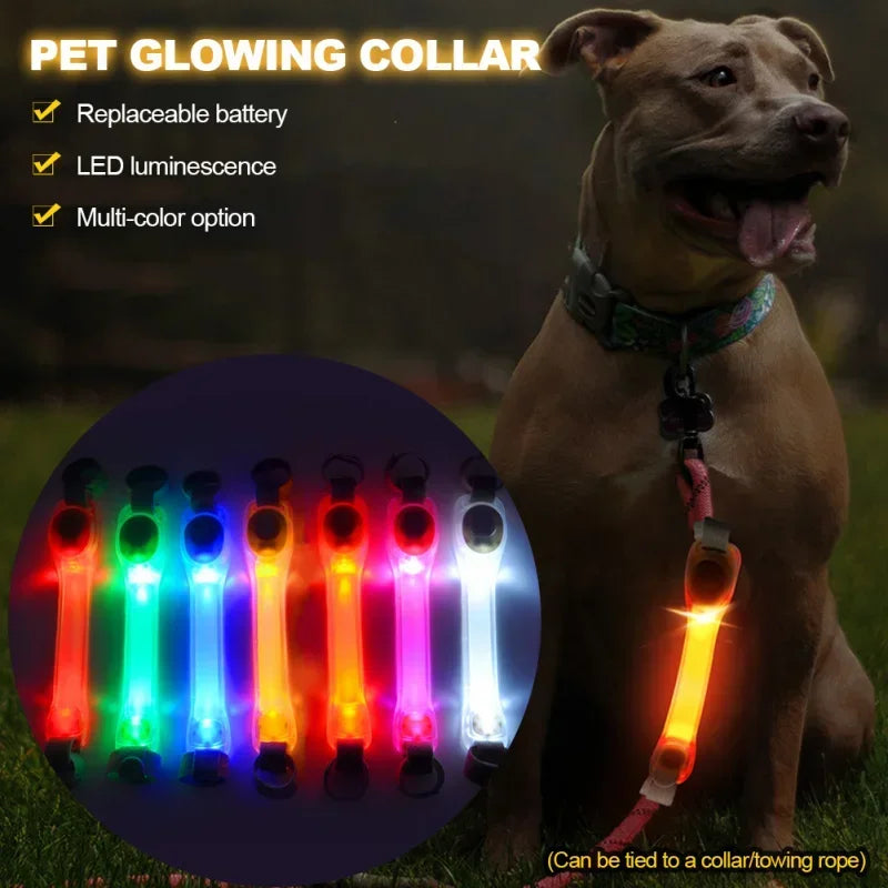 Waterproof Dog Anti-Lost Safety Glowing Collar,Multi-Color Pendants