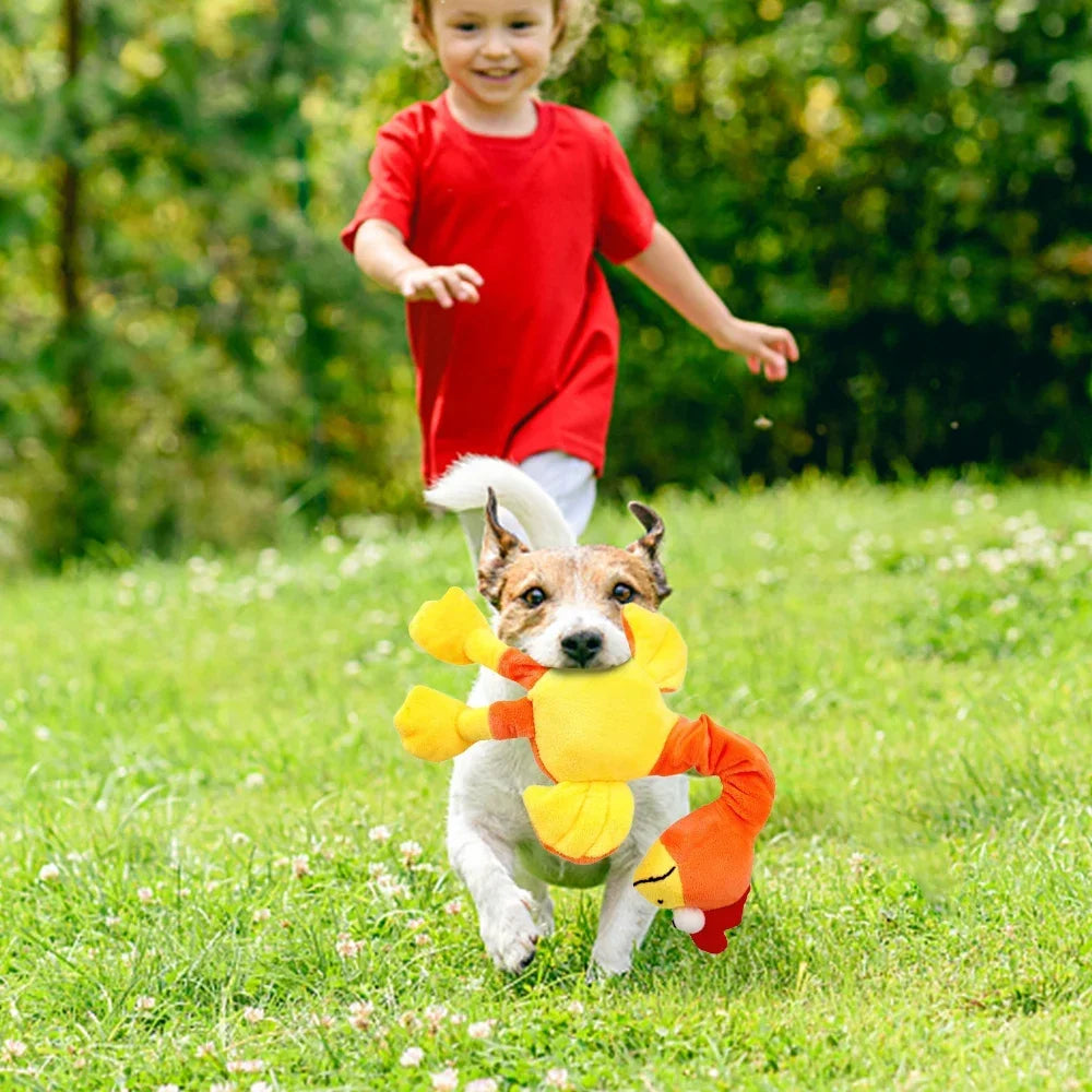 Pets Dog Toys Screaming Chicken Sound Toy Puppy Bite Resistant Chew