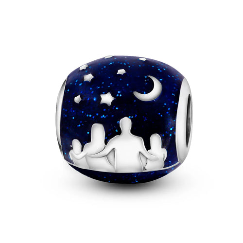 Silver Plated Travel Sunflower Lucky Charms Fit Original Pandora