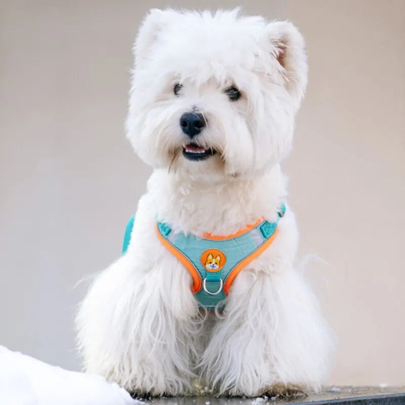 Adjustable No Pull Pet Reflective Dog Harness Lead Walking Running