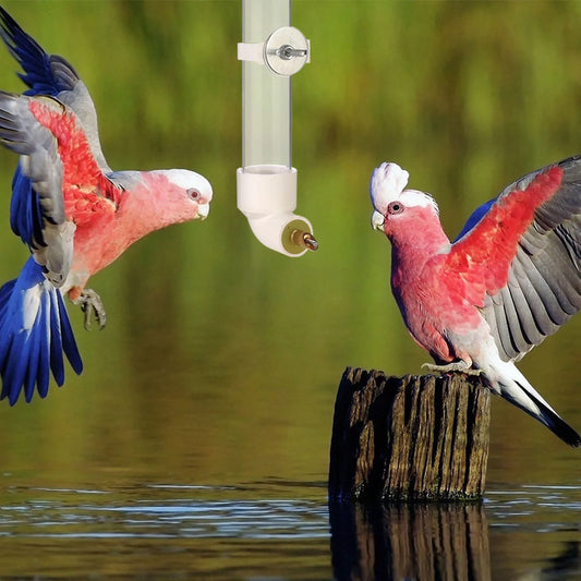 1pc-Parrot water dispenser, water bottle, hanging automatic feeder
