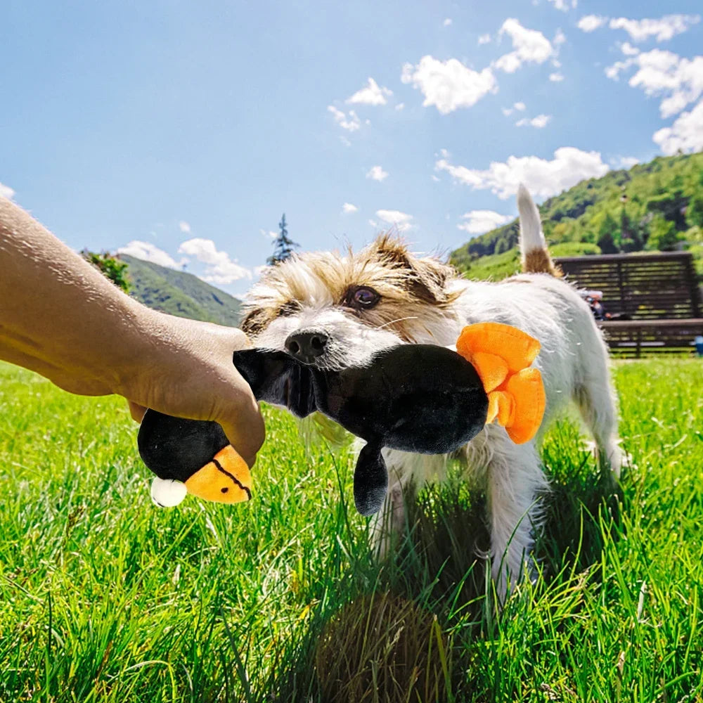 Pets Dog Toys Screaming Chicken Sound Toy Puppy Bite Resistant Chew