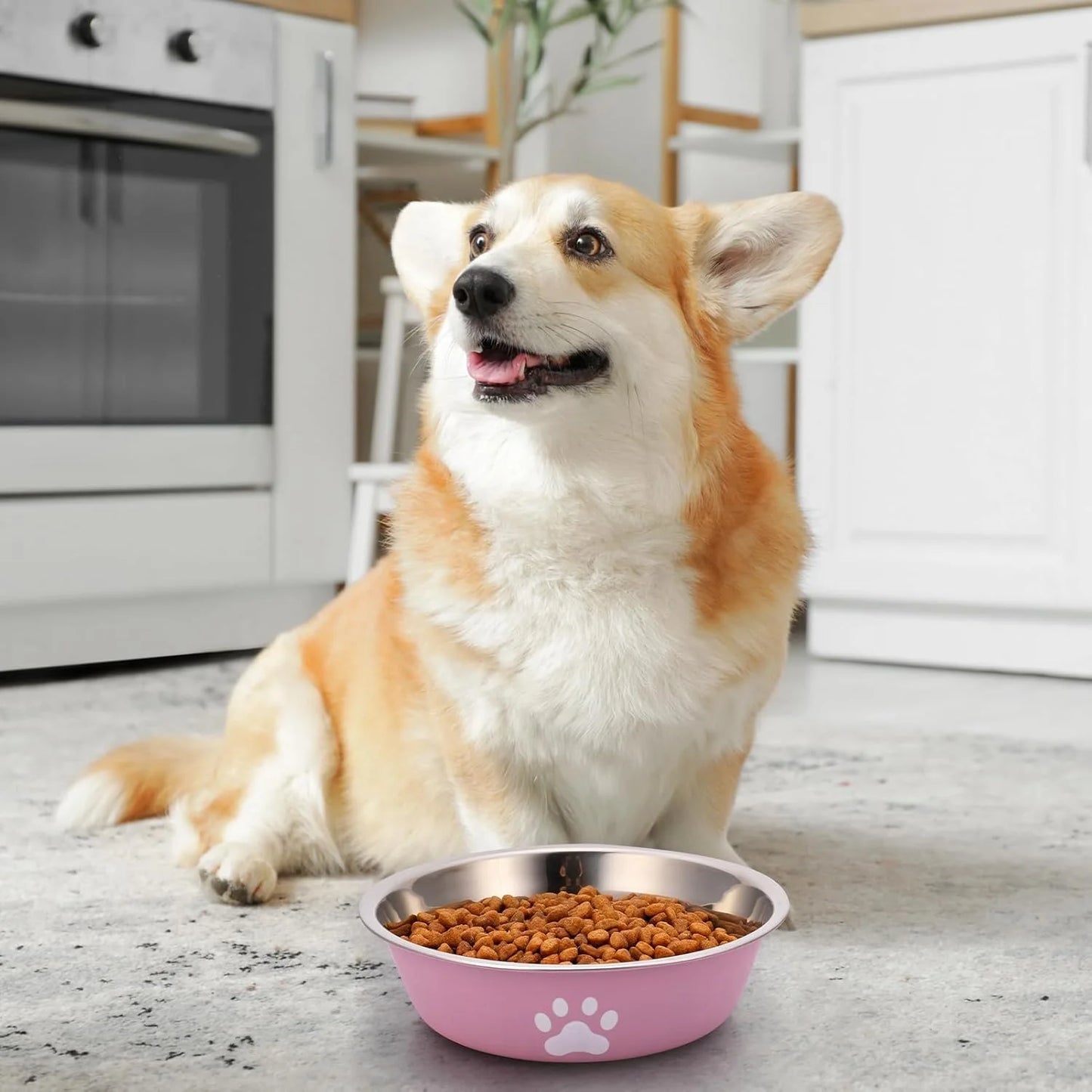 Dog Bowls Stainless Steel Dogs Feeding Bowls With Non-Slip Silicone