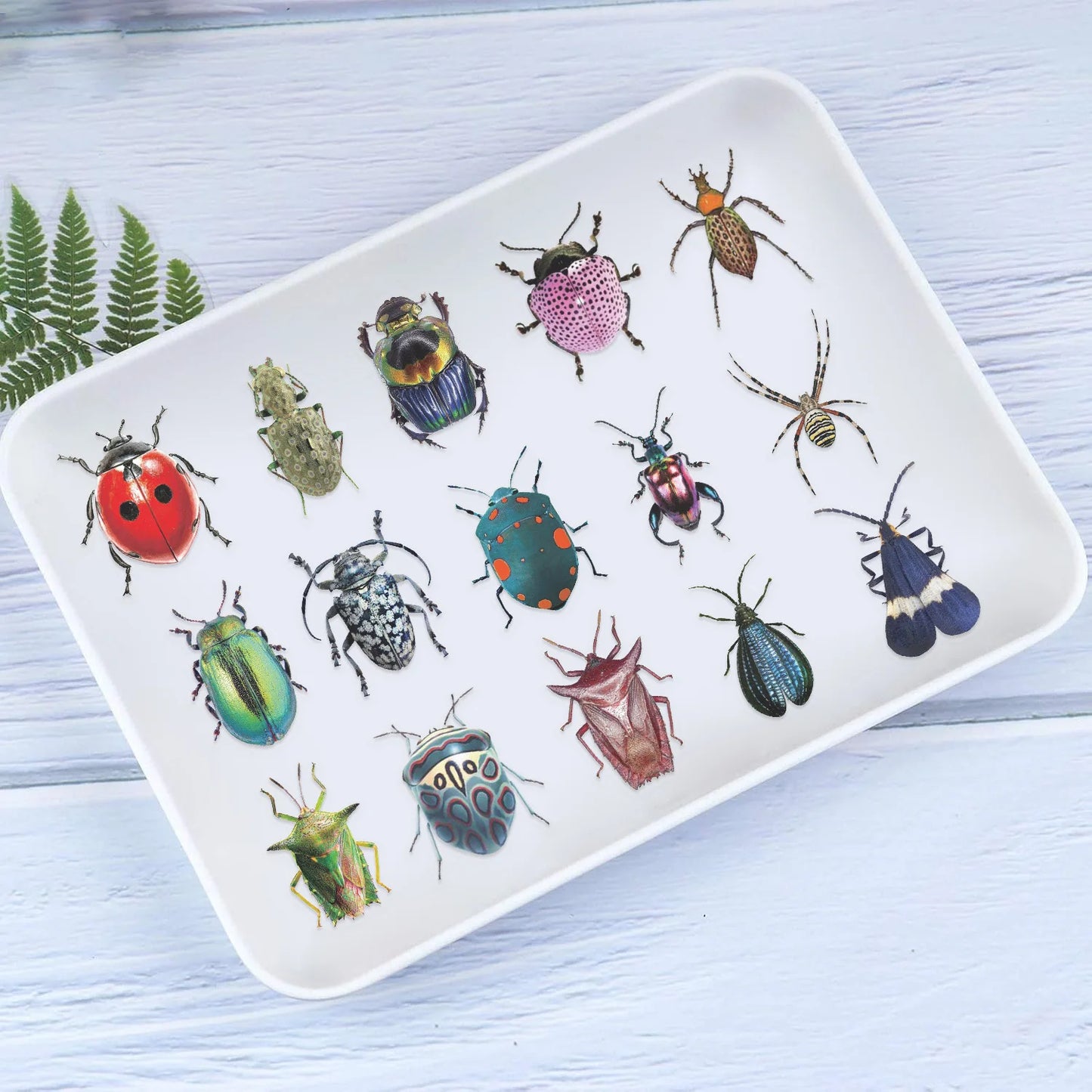 50pcs Cartoon Cute Cartoon Insect Beetle Stickers PET for Toy DIY