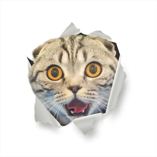 Vivid 3d Hole Funny Cat Dog Toilet Stickers Diy Wc Washroom Home