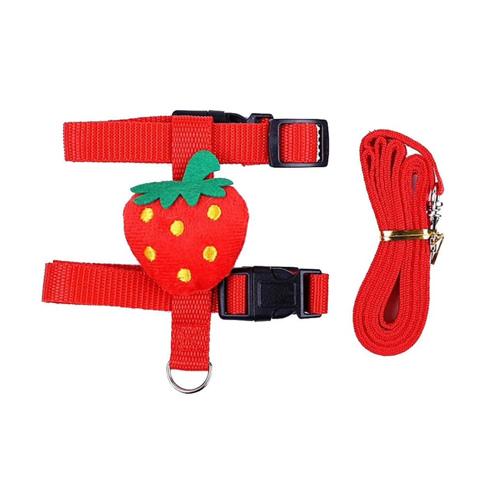 Rabbit Cat Harness and Leash Set Adjustable Pet Lead Leash for Small