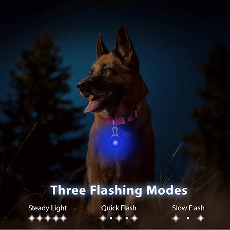 Led Dogs Collars Pendant Rechargeable Pet Usb Luminous Collar Pendant