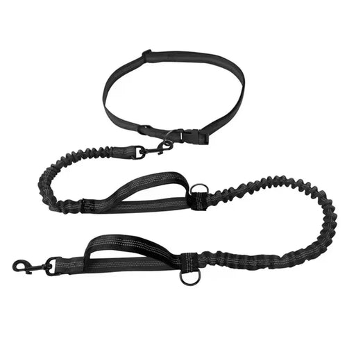 Outdoor Pet Dual Elastic Traction Rope Reflective Running at Night