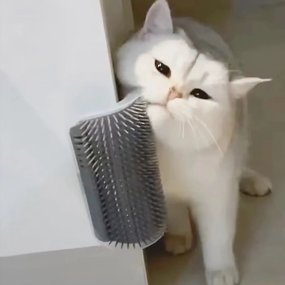 Best-selling Item Massager for Cats PP Material Pets Goods Brush