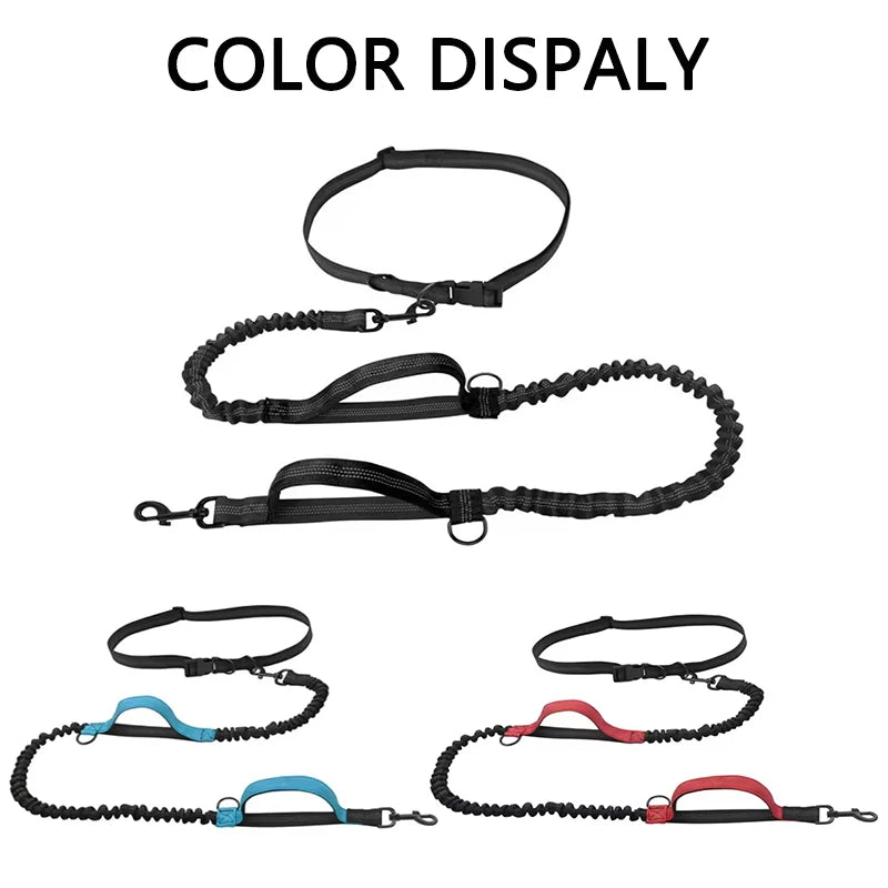 Outdoor Pet Dual Elastic Traction Rope Reflective Running at Night