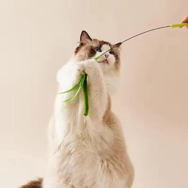 New Cat toys, dog tail grass teasing cat pole feather pole wire cat