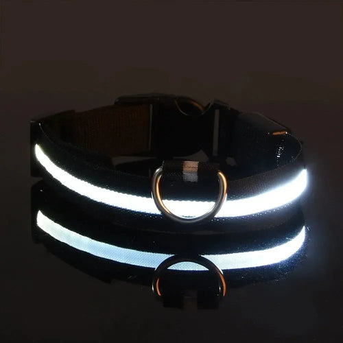 Light Up LED Pet Dog Collar Safety Night Walking Flashing Glow In The