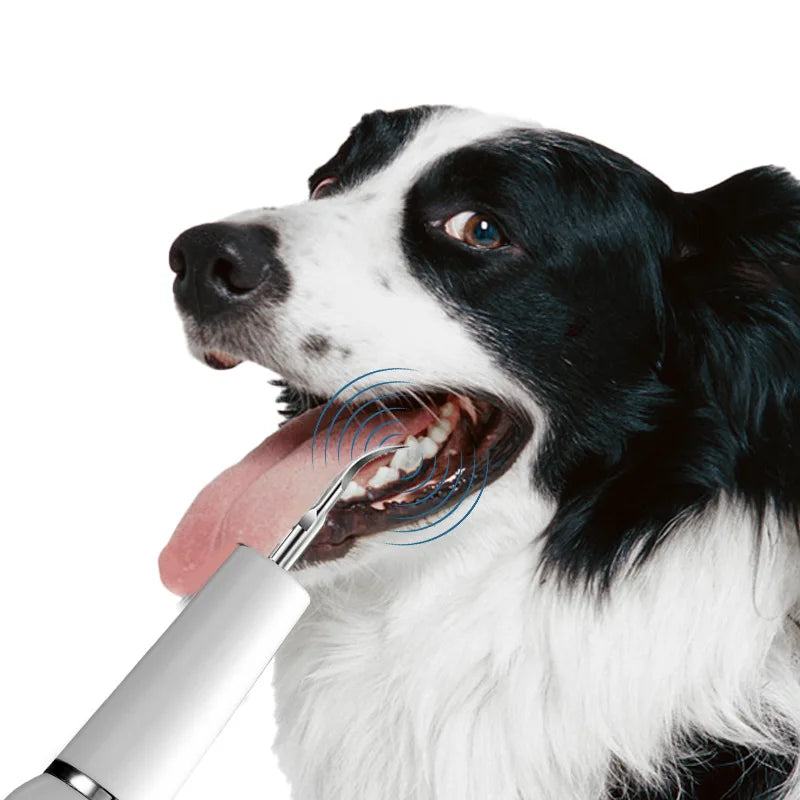 Dog Tooth Calculus Device Ultrasonic Toothbrush Electric Pet Tooth