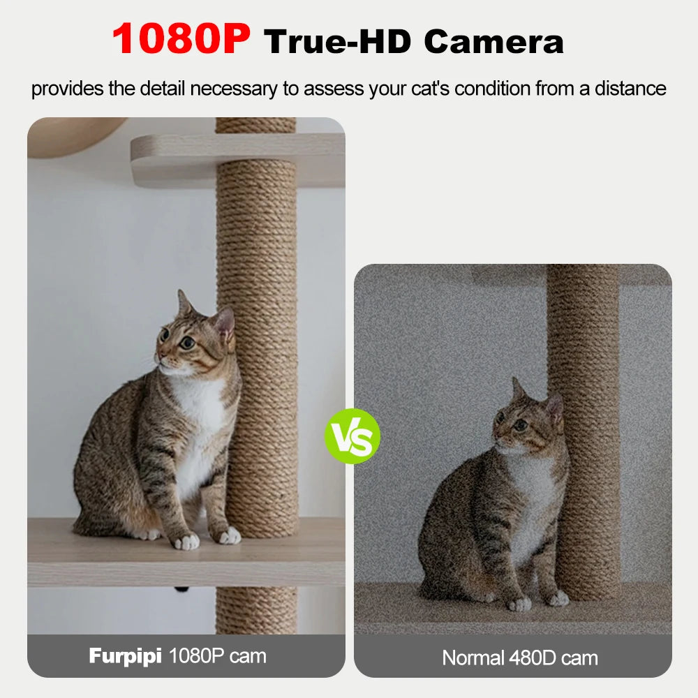 8L Automatic Cat Feeder With 1080p Camera Video 5G WiFi Cat Food