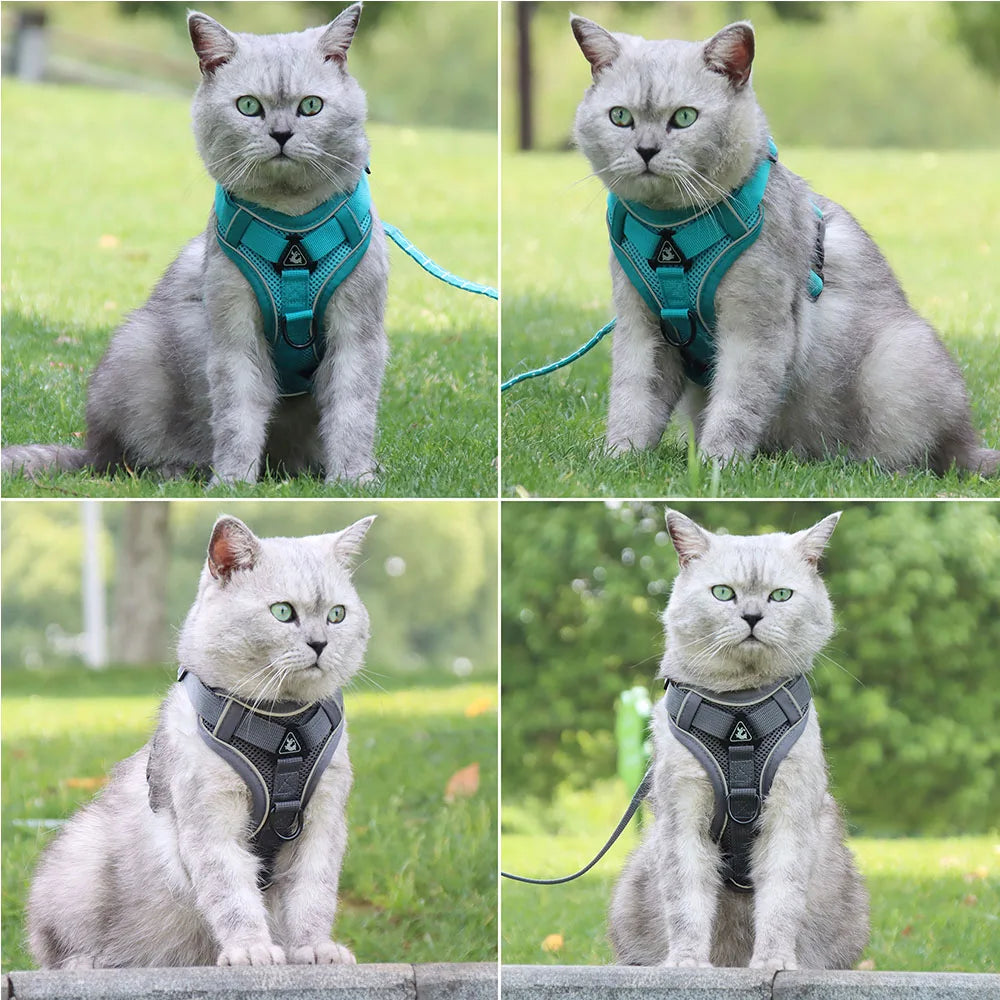 Harness and Leash Set Pet Accessories Dog Harness For Small Dog French