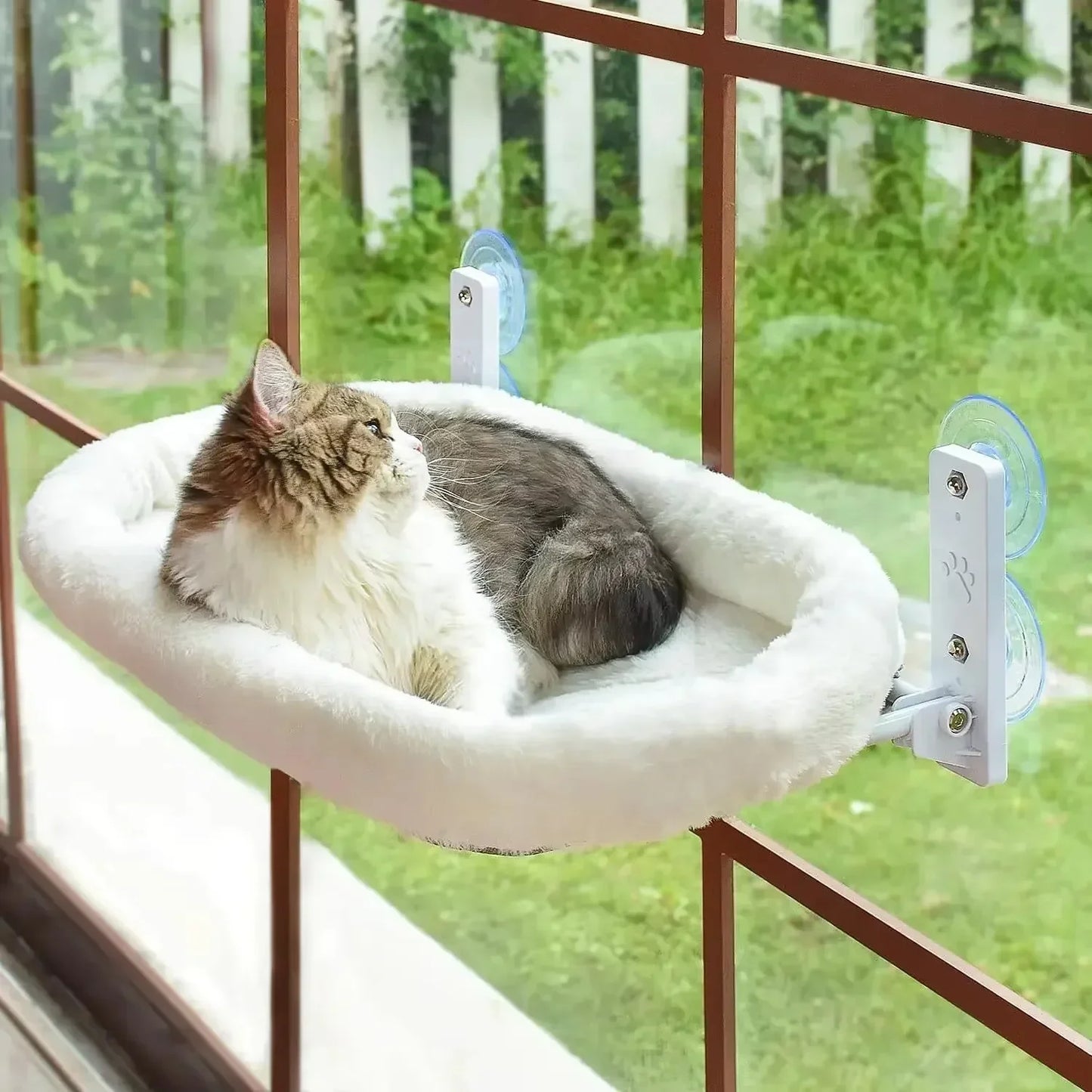 Winter Cat Hammock Window Habitat Cat Sunbathing Glass Hanging Suction