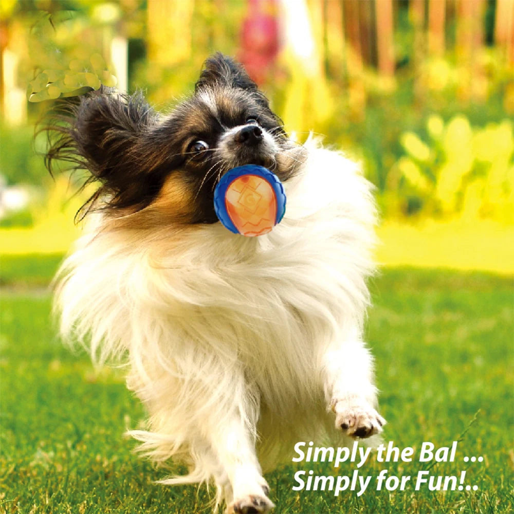 Pet Dog Squeaky Toys Ball Puppy Chew Toys Sound Pure Natural Non-toxic