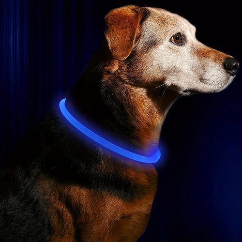 LED Light Dog Collar USB Charging Luminous Anti-Lost Necklace for