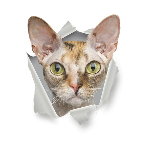 Vivid 3d Hole Funny Cat Dog Toilet Stickers Diy Wc Washroom Home