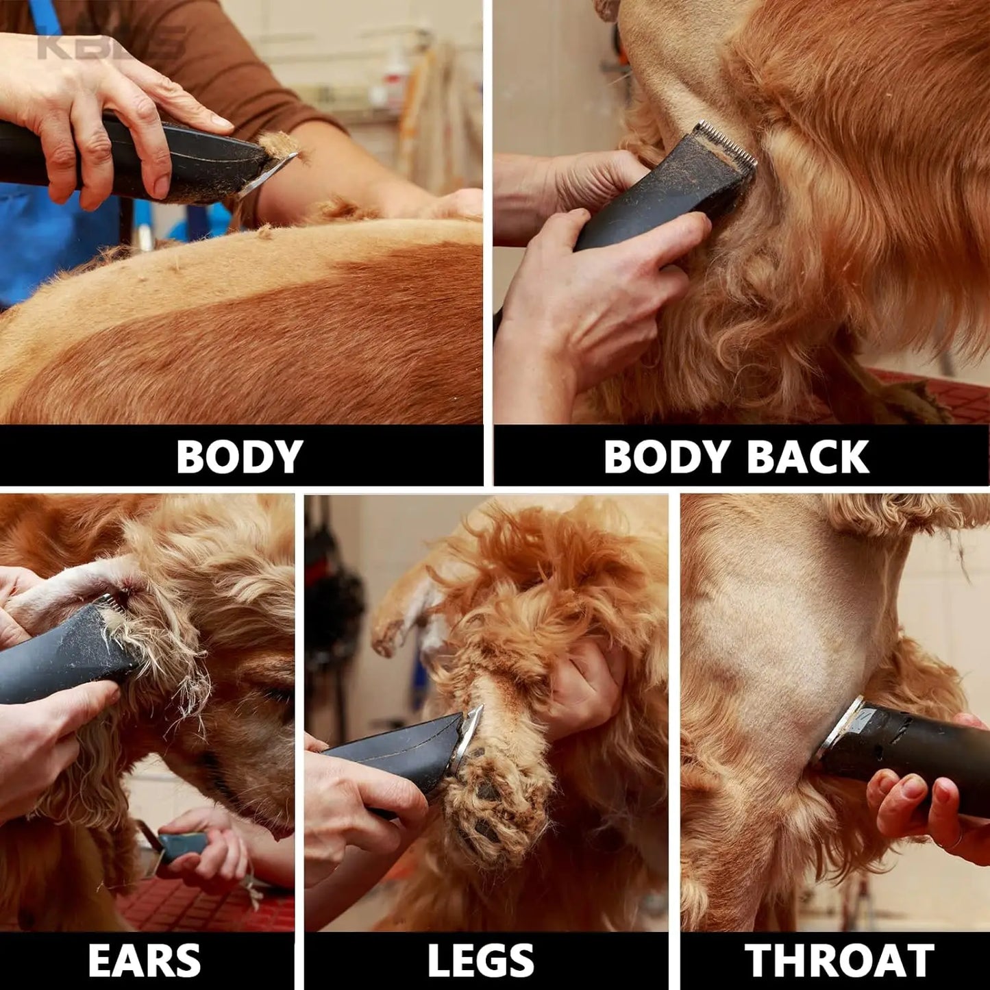4F,5F,7F,9#,10#,30#,40# Professional Pet Dog Clipper Blade Fit For