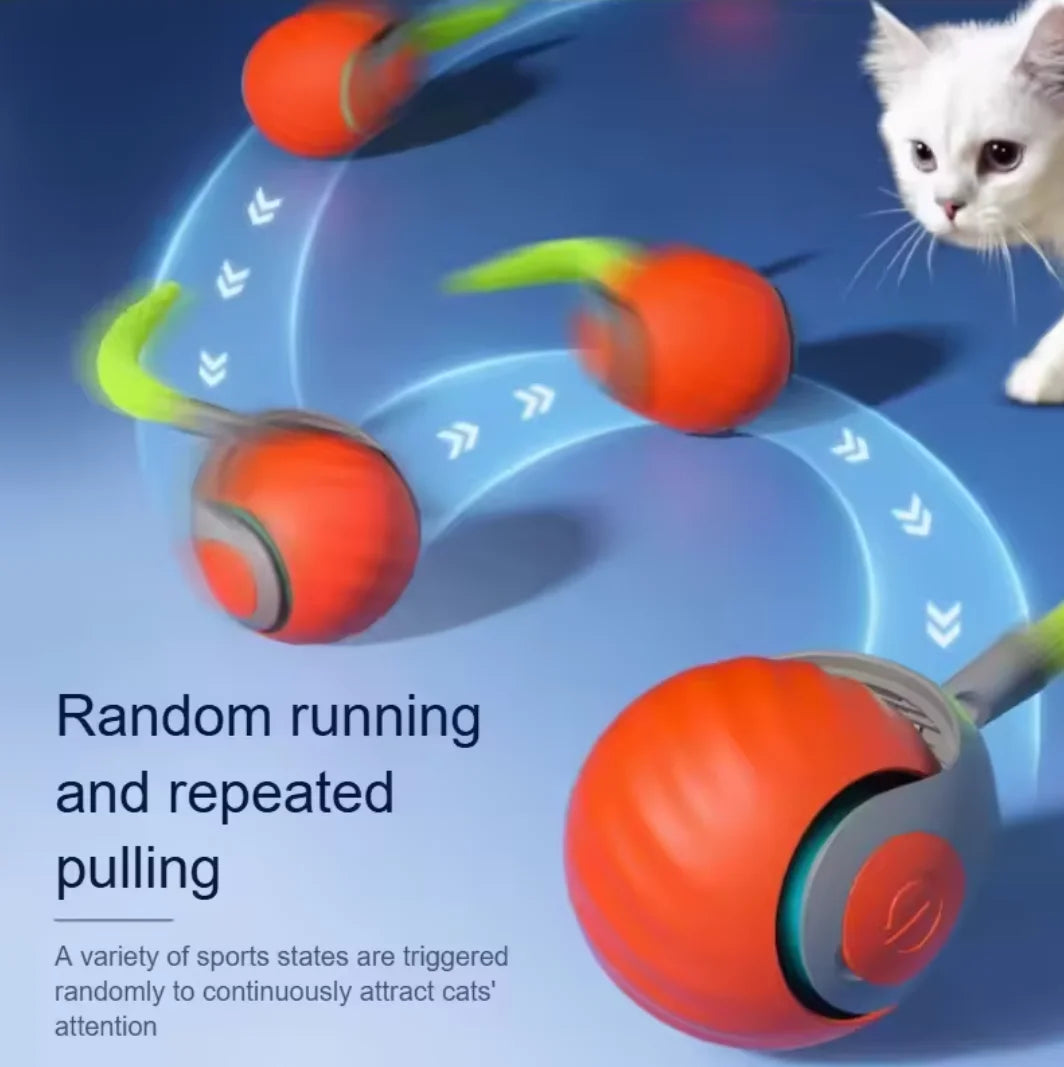 Cats Interactive Ball Toys, Automatic Rolling Ball with Faux Tail,USB