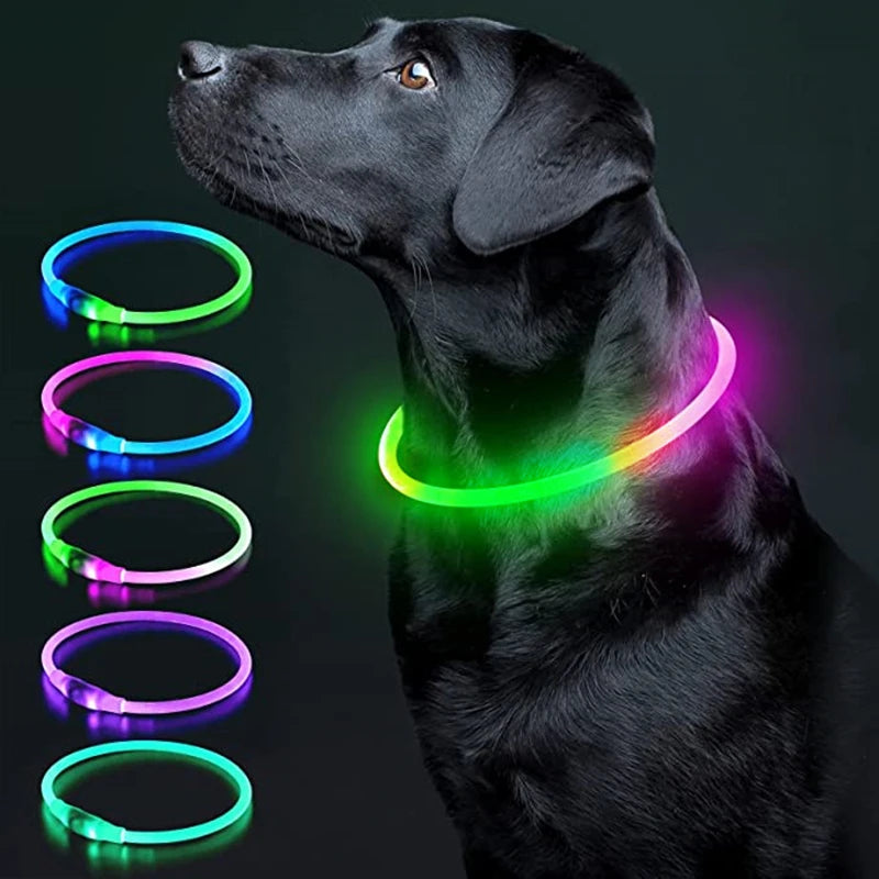 Luminous Dog Collar Light Charge Cat Necklace, Led Fashion Flashing