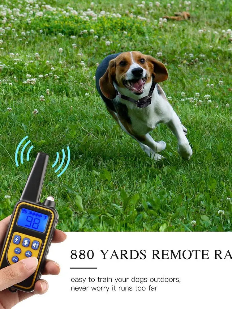 800m Digital Dog Training Collar Waterproof Rechargeable Remote