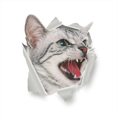 Vivid 3d Hole Funny Cat Dog Toilet Stickers Diy Wc Washroom Home