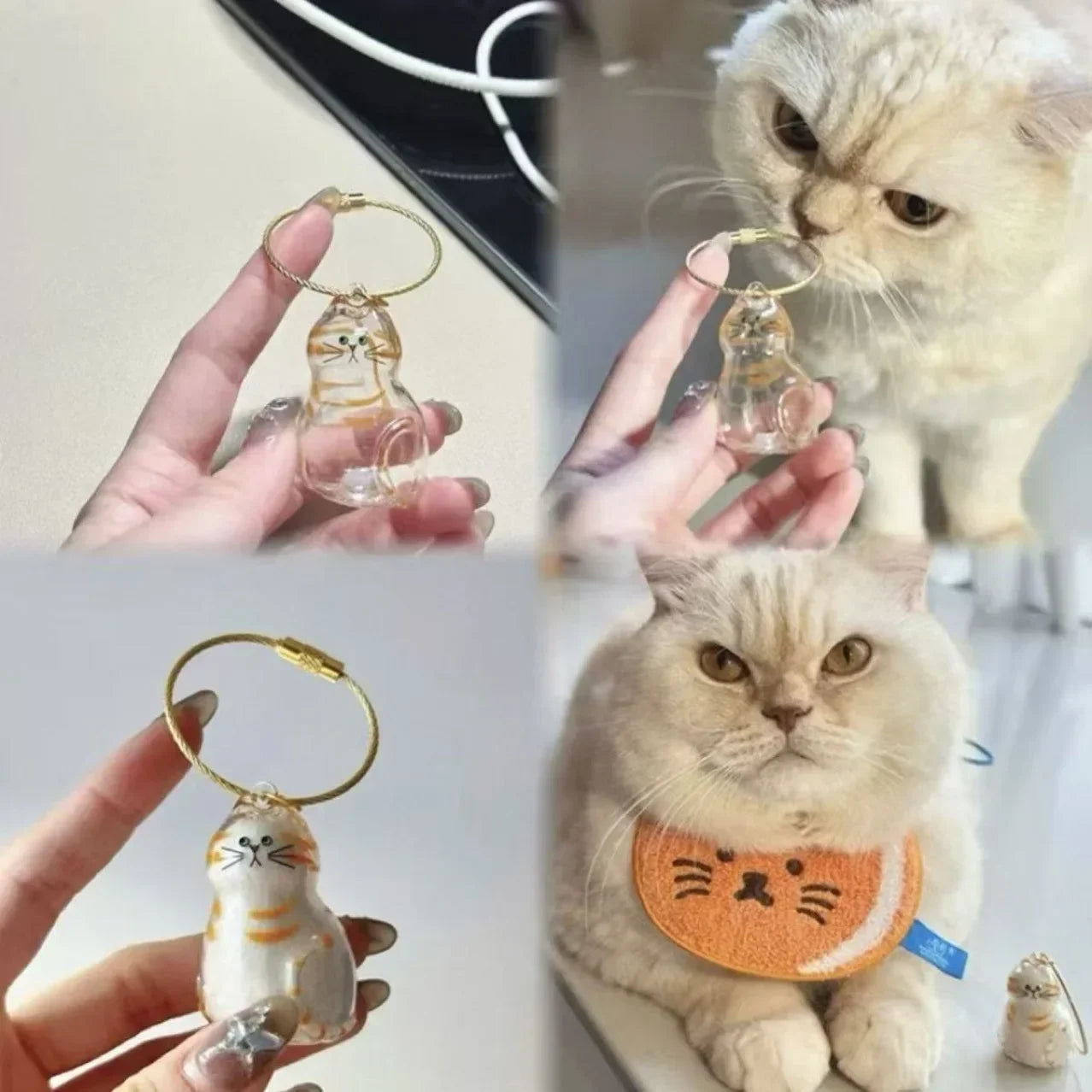 Pet Hair Memorial Keepsake Box & Bottle - Transparent Storage