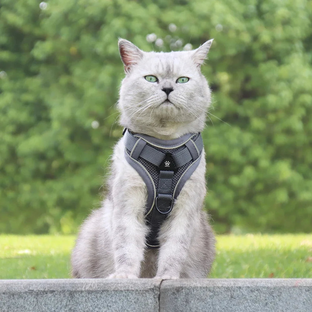 Cats Harness Leash For Small Dogs Cat Outdoor Reflective Adjustable