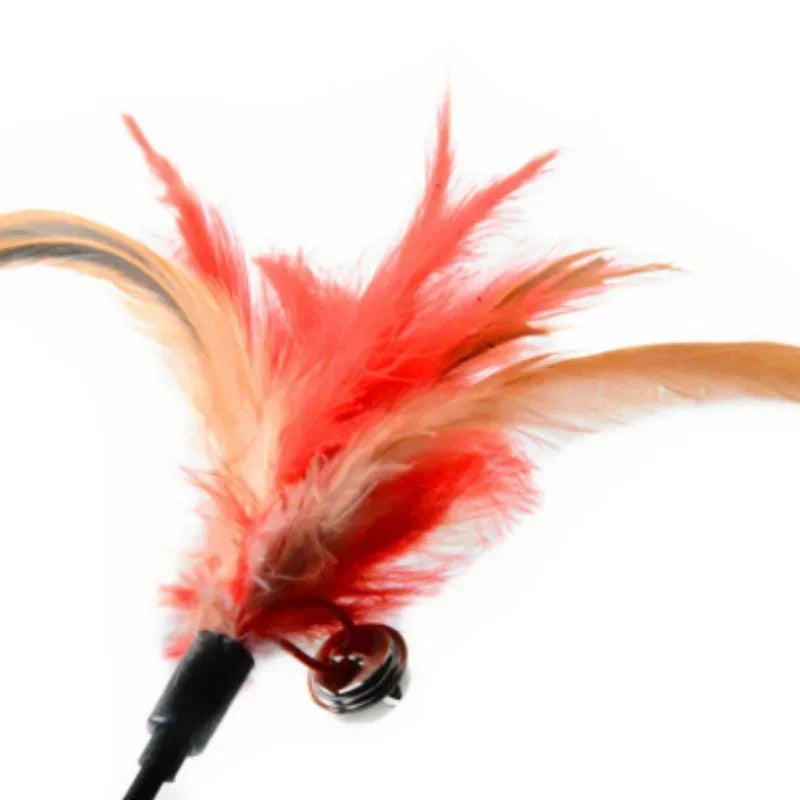 2 Pcs Cat Toy Bell Feather Funny Cat Rod Toy Cat Toys Interactive  Cat
