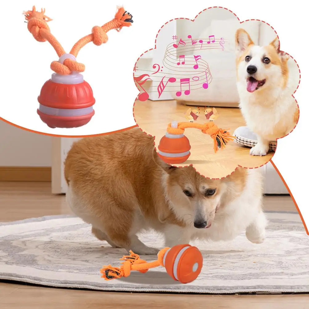 Pet Ball for Dogs Interactive Toys Motion Activate Rolling Ball for