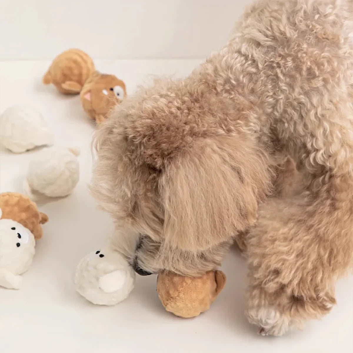 Squeaky Puppy Ball Toy - Spiked Bouncing Chew for Teeth Cleaning,