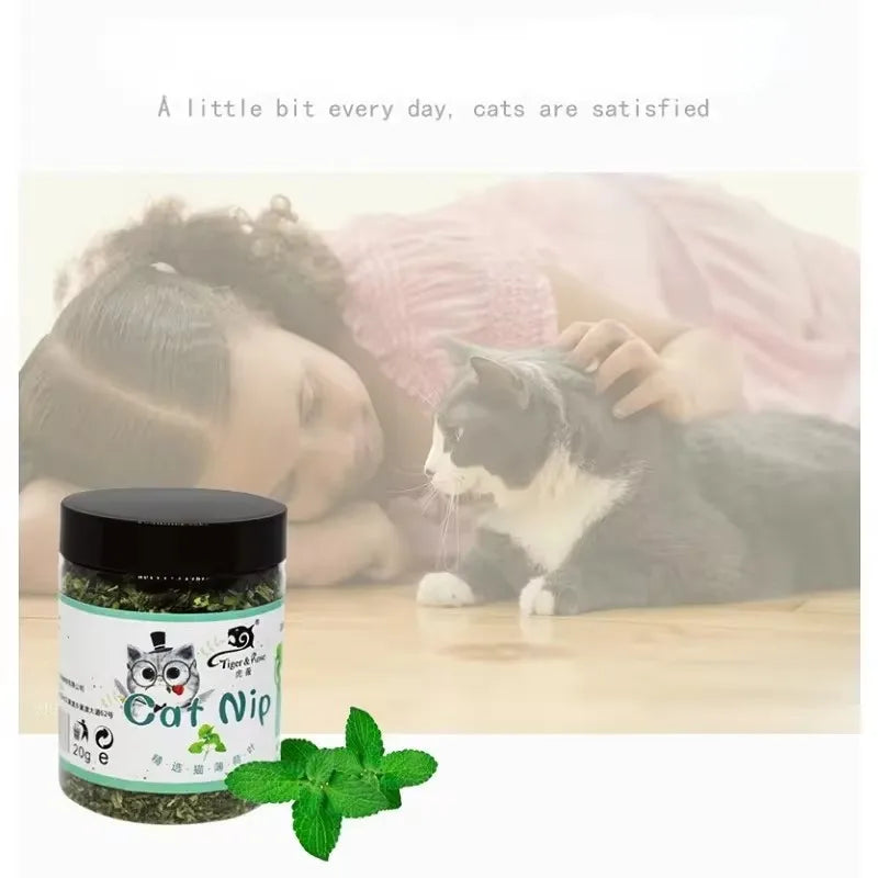 Organic 100% Natural High Quality Catnip Cattle Grass Mint Taste Funny