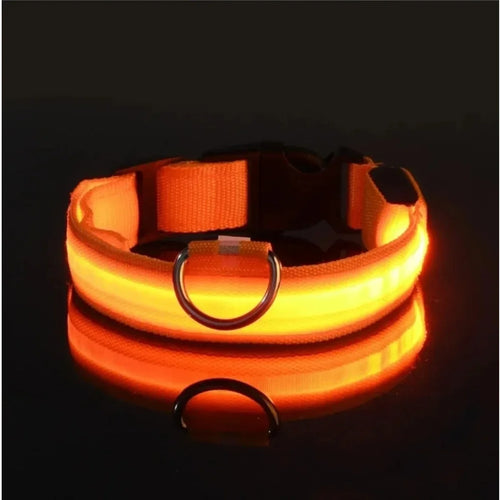 Light Up LED Pet Dog Collar Safety Night Walking Flashing Glow In The
